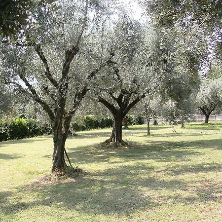 B&B Agli Ulivi Manerba del Garda Eksteriør billede