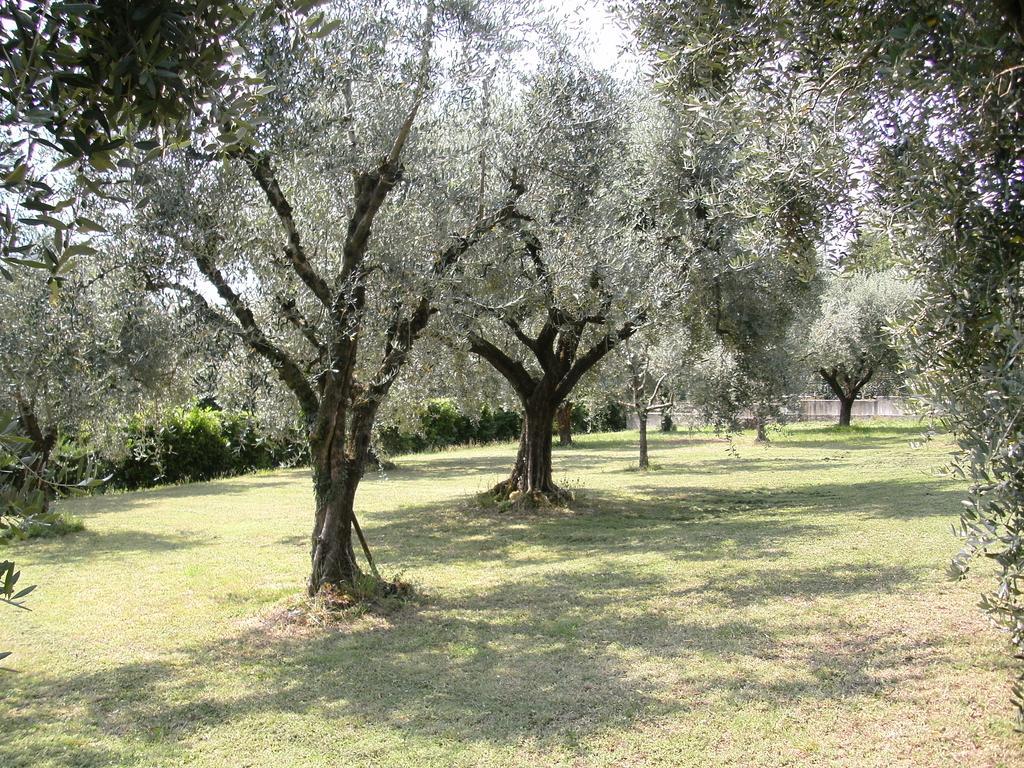 B&B Agli Ulivi Manerba del Garda Eksteriør billede