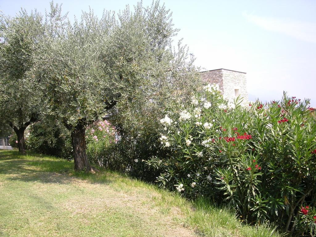 B&B Agli Ulivi Manerba del Garda Eksteriør billede
